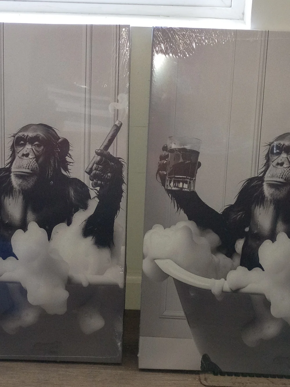 Black & White Chimpanzee Bath Art Print for Home Bath